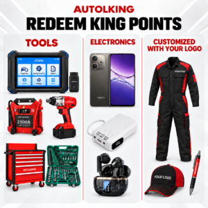 King Points Rewards